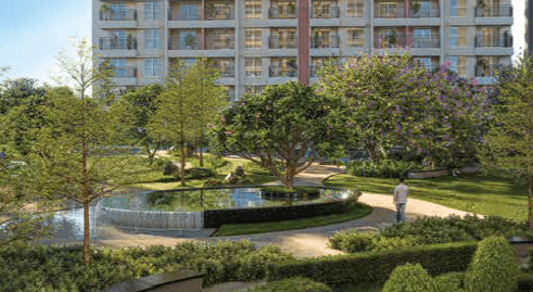 Property Amenities