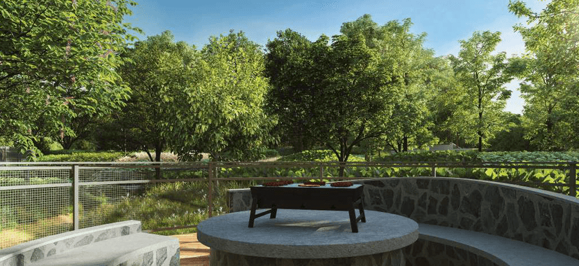 Property Amenities
