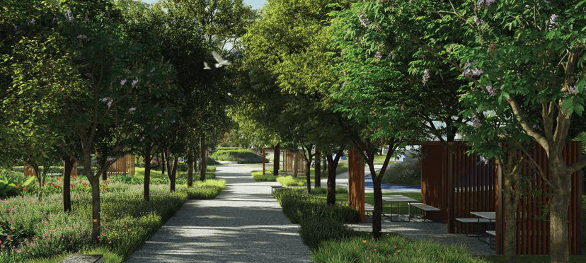 Property Amenities