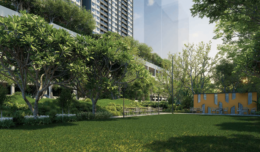 Property Amenities