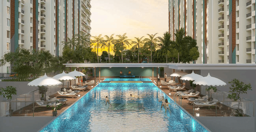 Property Amenities