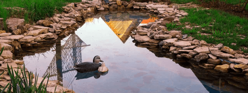 Property Amenities