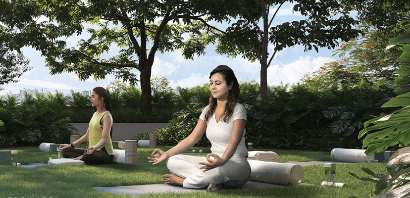 Property Amenities