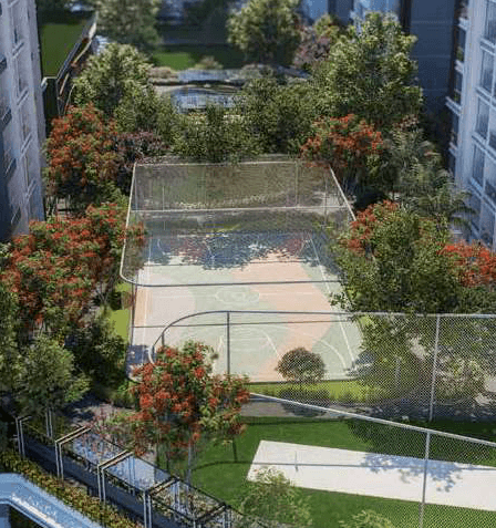 Property Amenities
