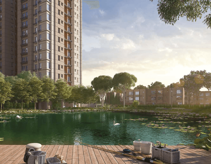 Property Amenities