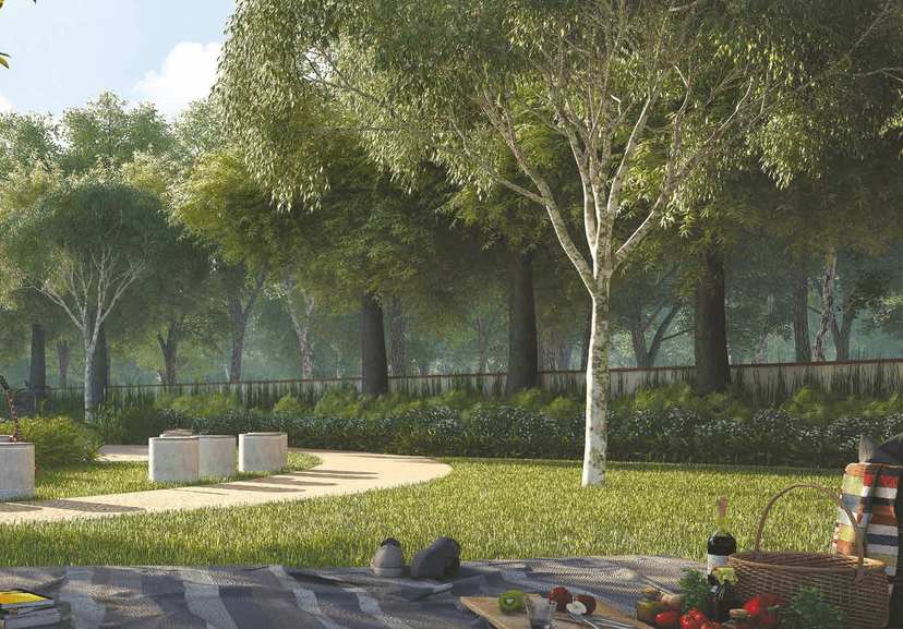 Property Amenities