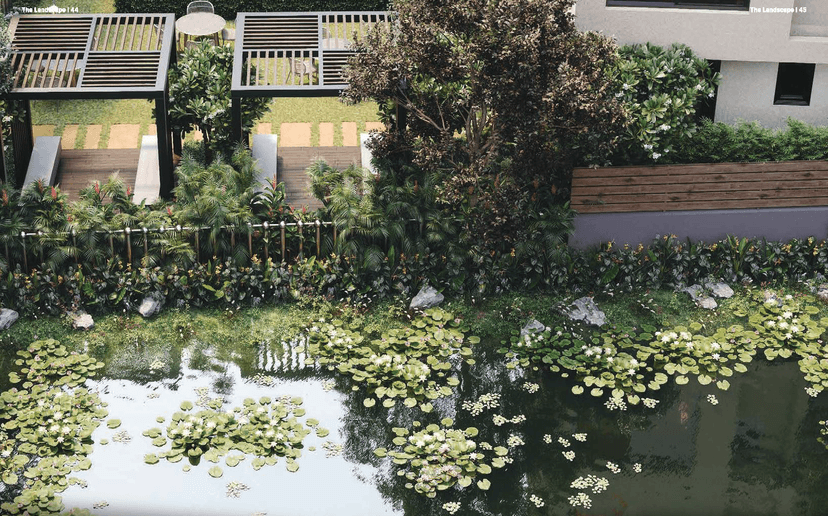 Property Amenities