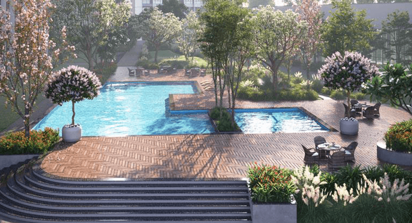 Property Amenities