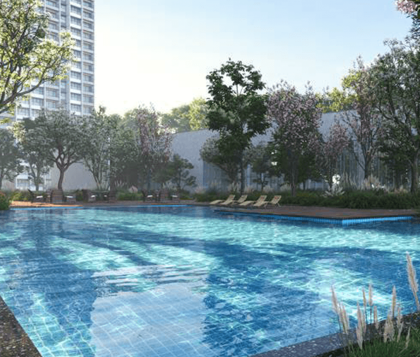 Property Amenities