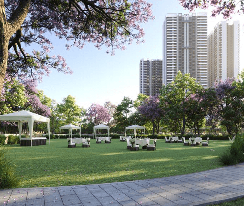 Property Amenities