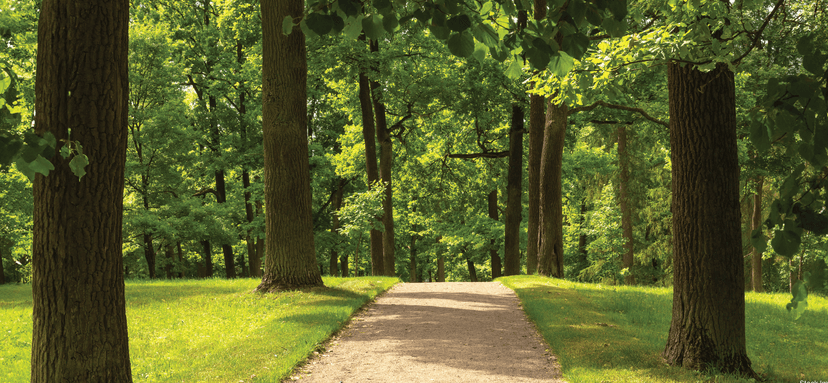 Property Amenities
