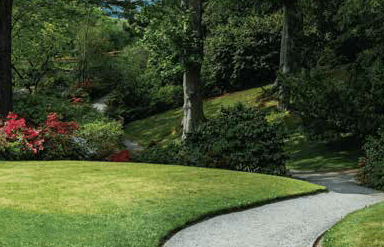Property Amenities