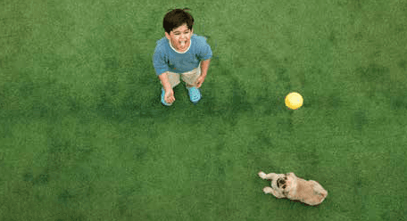 Property Amenities
