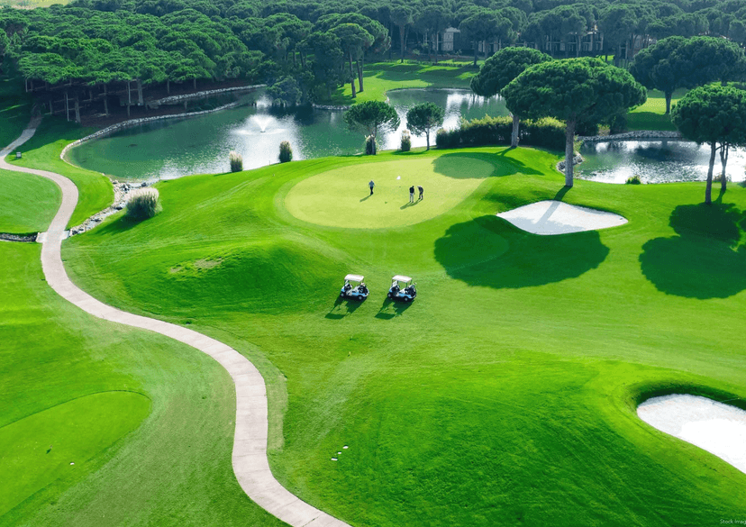 Property Amenities