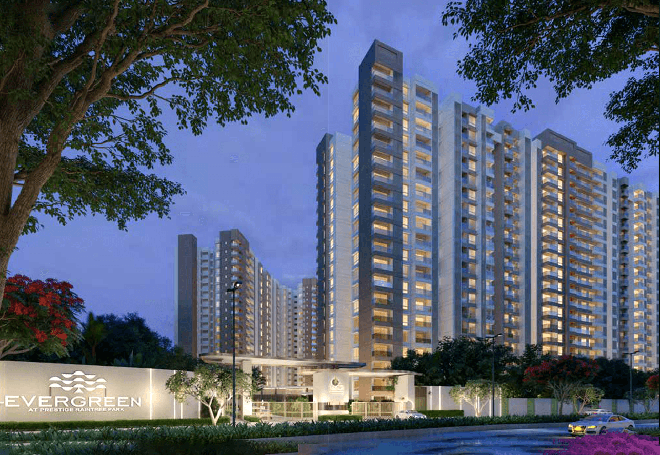 Prestige Evergreen