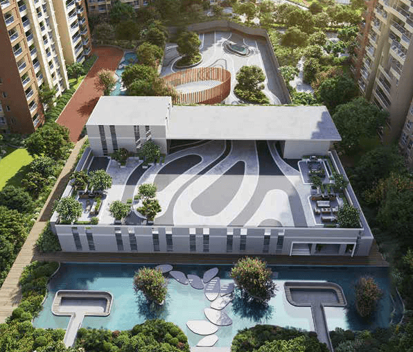 Prestige Evergreen
