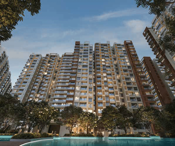 Prestige Evergreen