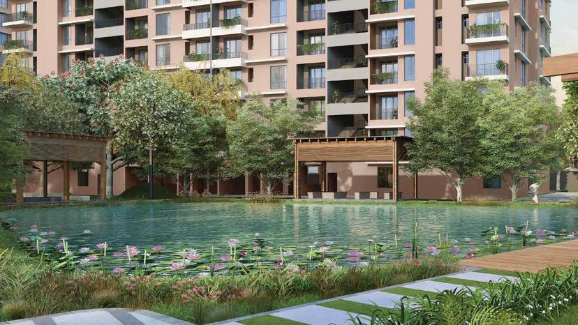 Property Amenities