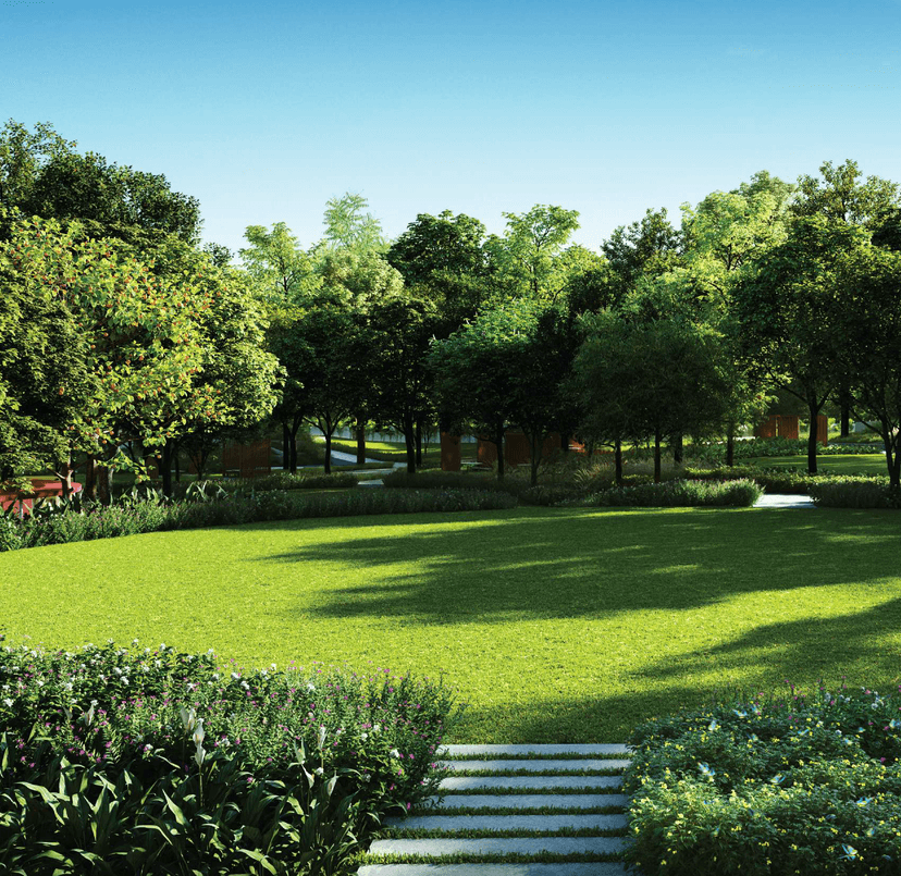 Property Amenities