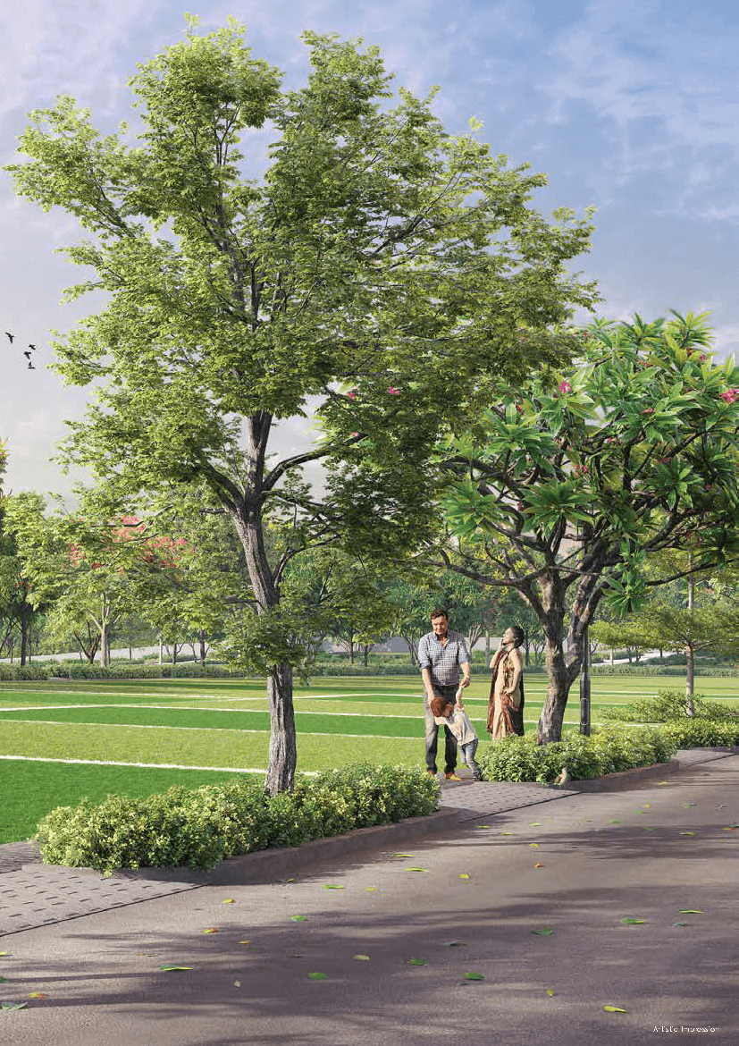 Property Amenities